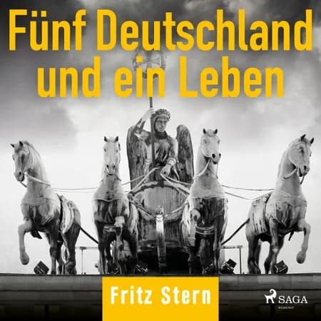Fünf Deutschland und ein Leben af Fritz Stern