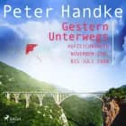 Gestern Unterwegs. Aufzeichnungen November 1987 bis Juli 1990 af Peter Handke