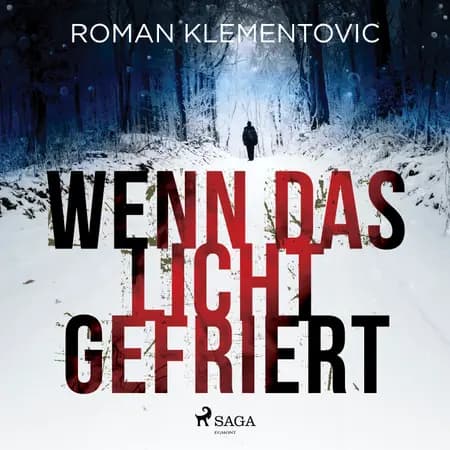Wenn das Licht gefriert af Roman Klementovic