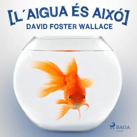 L´aigua és aixó af David Foster Wallace