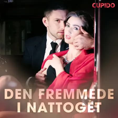 Den fremmede i nattoget af Cupido And Others