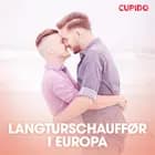 Langturschauffør i Europa