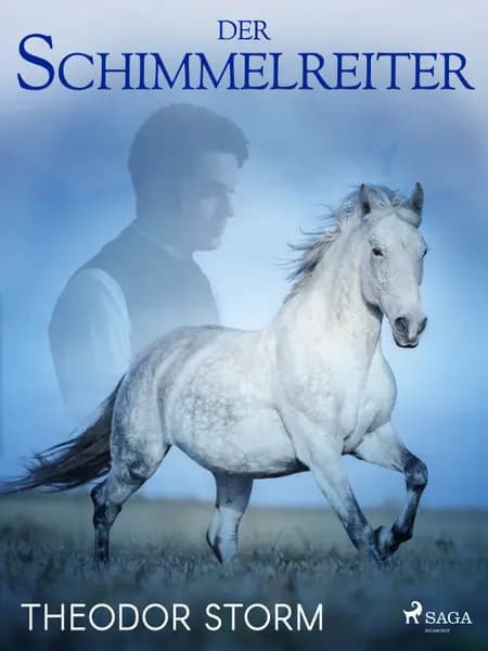 Der Schimmelreiter af Theodor Storm
