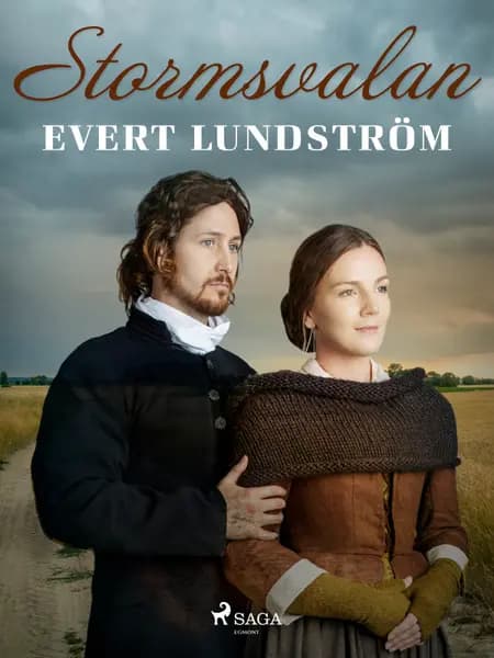 Stormsvalan af Evert Lundström