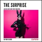 The Surprise - and other erotic short stories from Cupido af Cupido