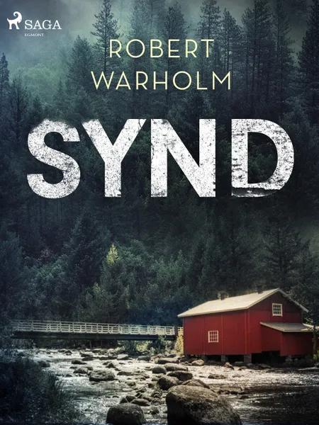 Synd af Robert Warholm