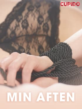 Min aften - erotiske noveller af Cupido