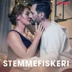 Stemmefiskeri – erotiske noveller