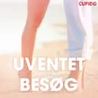 Uventet besøg – erotiske noveller