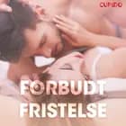 Forbudt fristelse - erotisk novelle af Cupido