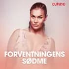 Forventningens sødme – erotiske noveller