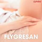 Flygresan - erotiska noveller