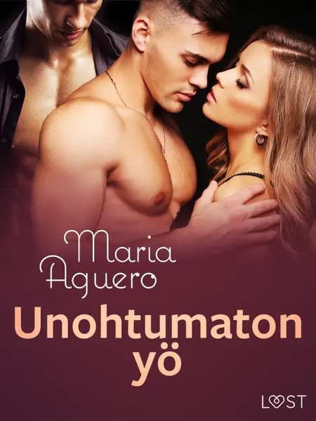 Unohtumaton yö - eroottinen novelli af Maria Aguero