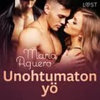 Unohtumaton yö - eroottinen novelli af Maria Aguero