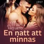 En natt att minnas - erotisk novell af Maria Aguero