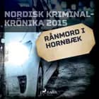 Rånmord i Hornbæk