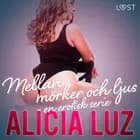 Mellan mörker och ljus - en erotisk serie af Alicia Luz