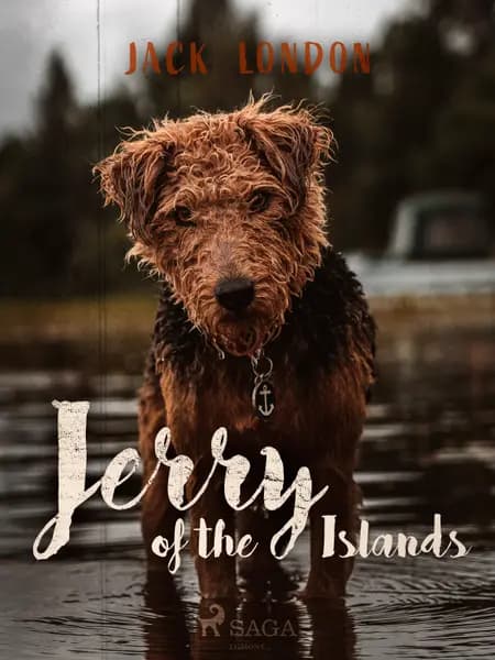 Jerry of the Islands af Jack London