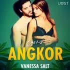 Angkor osat 1–3: eroottinen novellikokoelma af Vanessa Salt