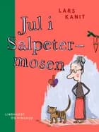 Jul i Salpetermosen af Asger Berg