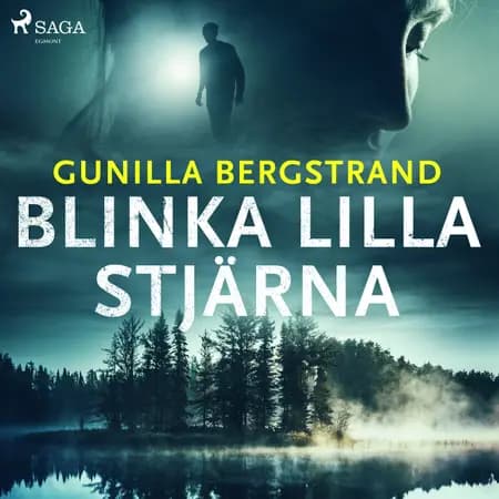 Blinka lilla stjärna af Gunilla Bergstrand