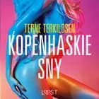 Kopenhaskie sny – opowiadanie erotyczne