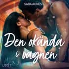 Den okända i vagnen - erotisk novell