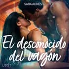 El desconocido del vagón