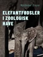 Elefantfødsler i Zoologisk Have af Waldemar Dreyer