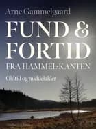 Fund og fortid fra Hammel-kanten. Oldtid og middelalder af Arne Gammelgaard