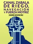 Canal Zabala de Riego, navegación y fuerza motriz