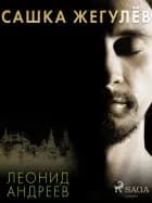 Сашка Жегулёв af Леонид Андреев