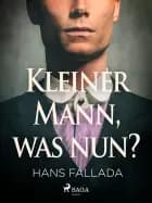 Kleiner Mann, was nun? af Hans Fallada