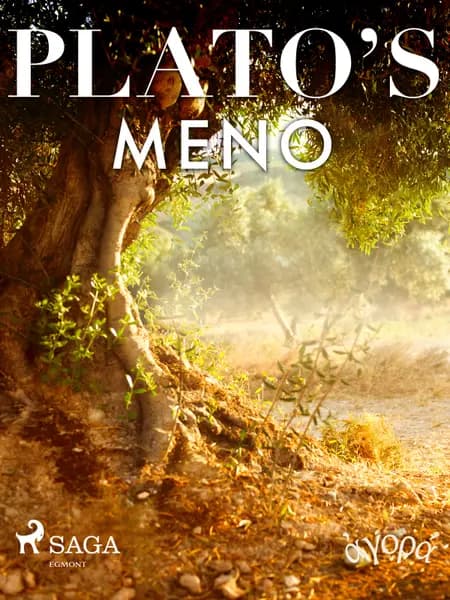 Plato’s Meno af Plato