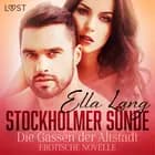 Stockholmer Sünde: Die Gassen der Altstadt - Erotische Novelle