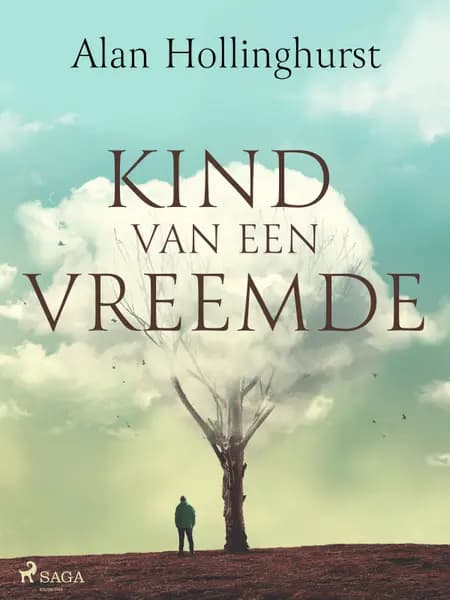 Kind van een vreemde af Alan Hollinghurst