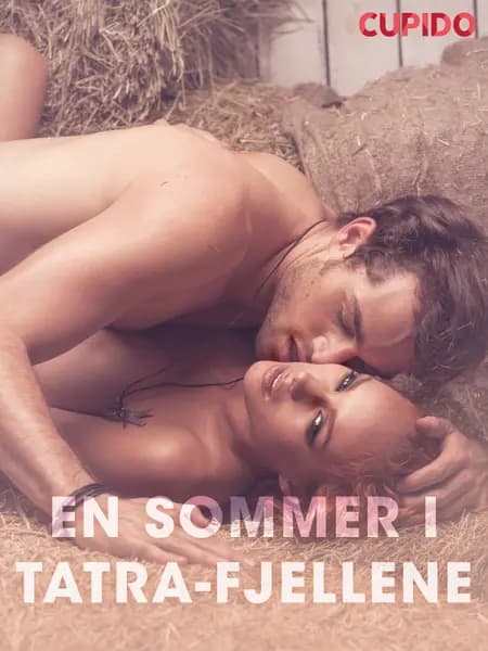 En sommer i Tatra-fjellene - erotiske noveller af Cupido