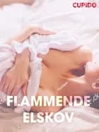Flammende elskov – erotiske noveller (NO)