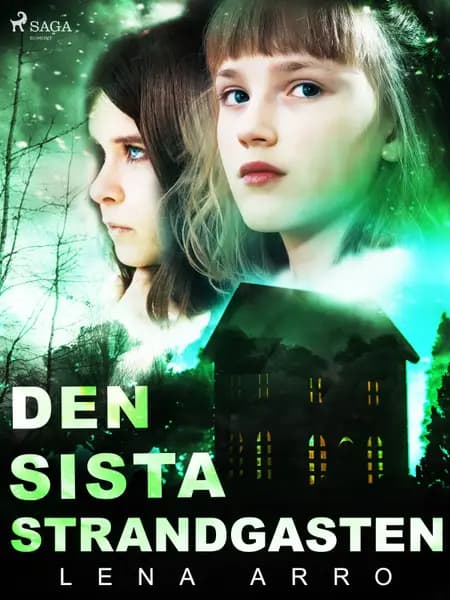 Den sista strandgasten af Lena Arro