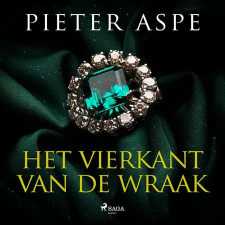 Het vierkant van de wraak af Pieter Aspe