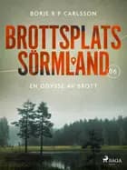 Brottsplats Sörmland. 6, En odyssé av brott