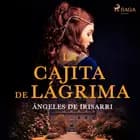 La cajita de lágrima af Ángeles de Irisarri