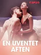 En uventet aften - erotiske noveller