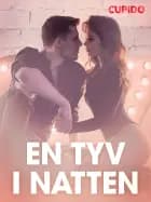En tyv i natten - erotiske noveller