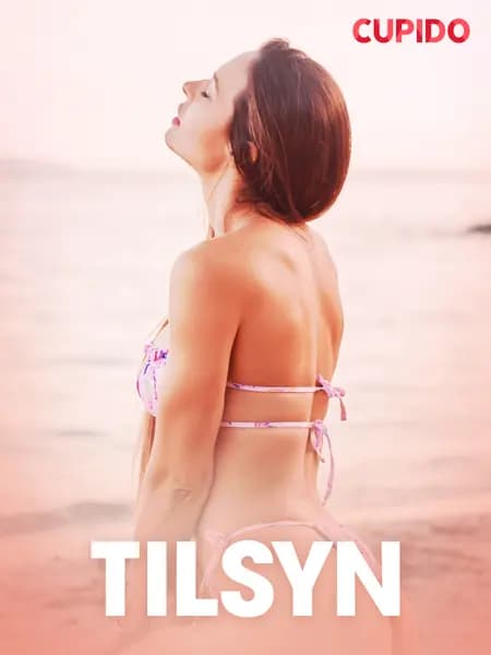 Tilsyn - erotisk novelle af Cupido