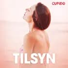 Tilsyn - erotisk novelle