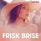 Frisk brise – erotisk novelle