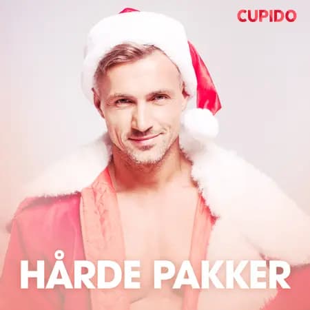 Hårde pakker - erotiske noveller af Cupido