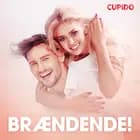 Brændende! – erotiske noveller