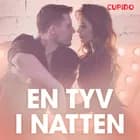 En tyv i natten - erotiske noveller af Cupido